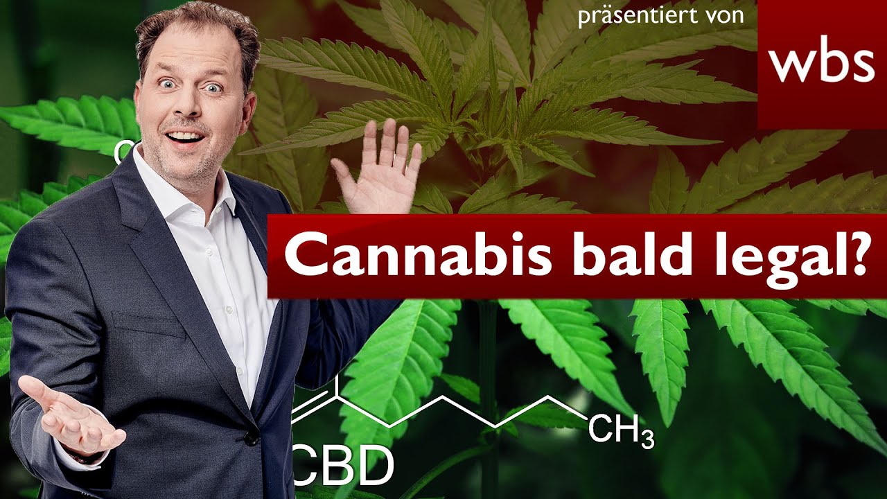 Cannabis -Verbot 🚬 : Kippen BtMG-Regelungen? | Rechtsanwalt Christian Solmecke