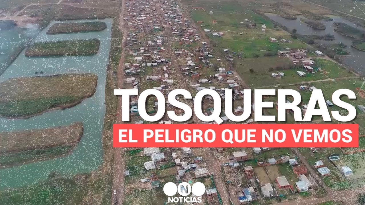 ¿QUÉ SON LAS TOSQUERAS Y POR QUÉ SON TAN PELIGROSAS? - #TelefeNoticias