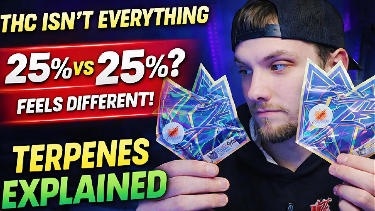 Terpenes Explained 🌿 Why THC % Isn&rsquo;t Everything | B1, Candy Fumez, Kush Mintz & Sugar Cookies