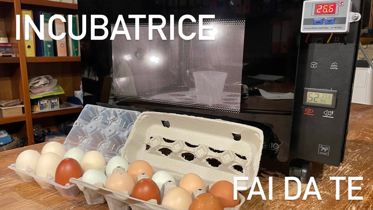 INCUBATRICE FAI DA TE 🛠🥚