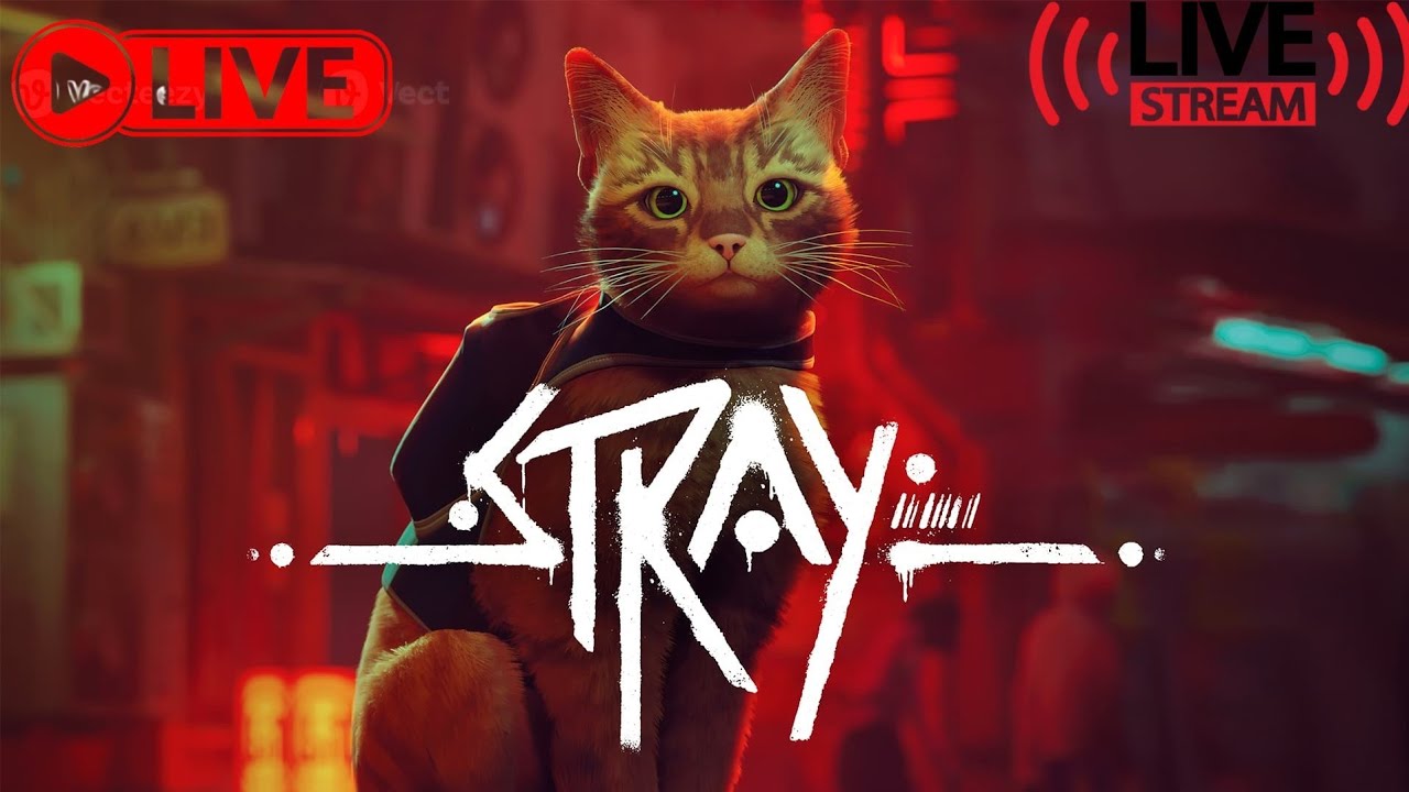 Livestreaming Stray!