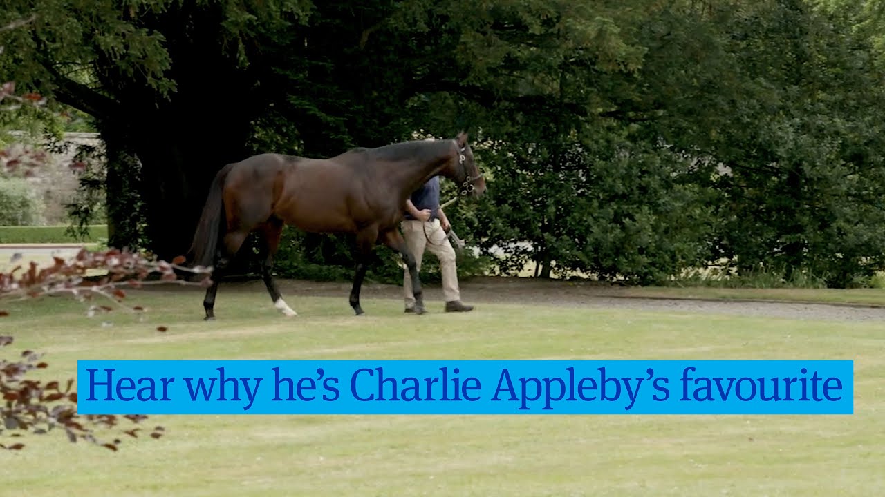 Blue Point - hear why he's Charlie Appleby's favourite
