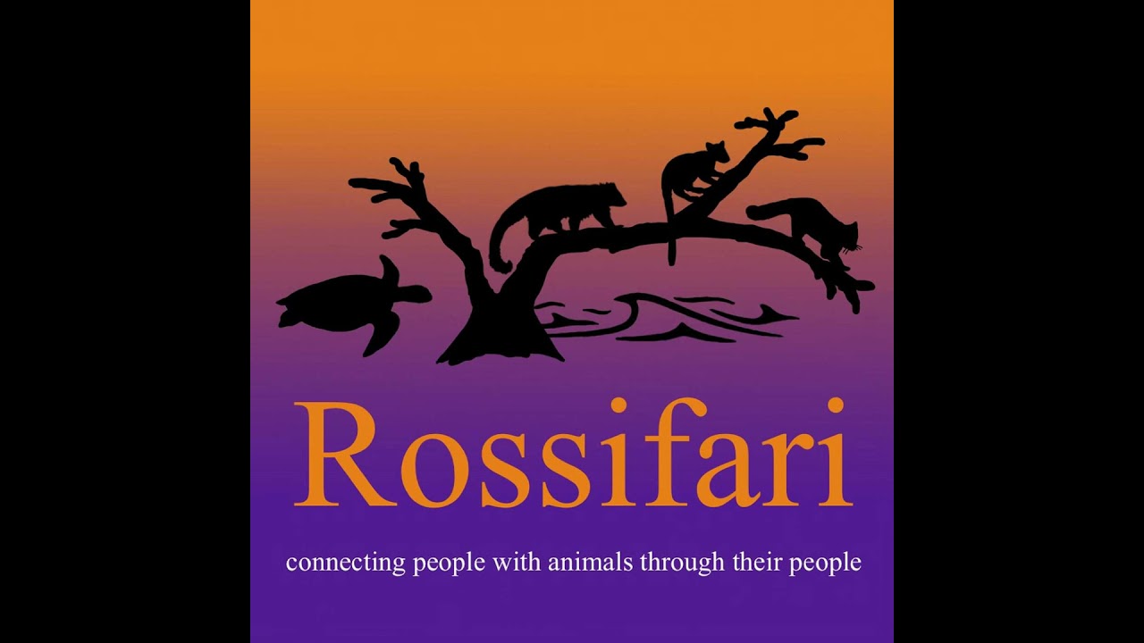 Sometimes It's Great To Meet Your Heroes with Dr. Lisa Dabek of Woodland Park Zoo, the Tree Kanga...