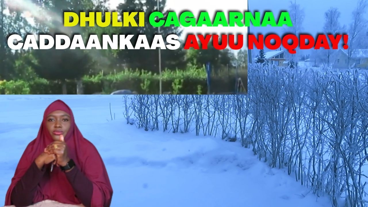 YAANAN NOQONIN KUWIYOO KALLE!
