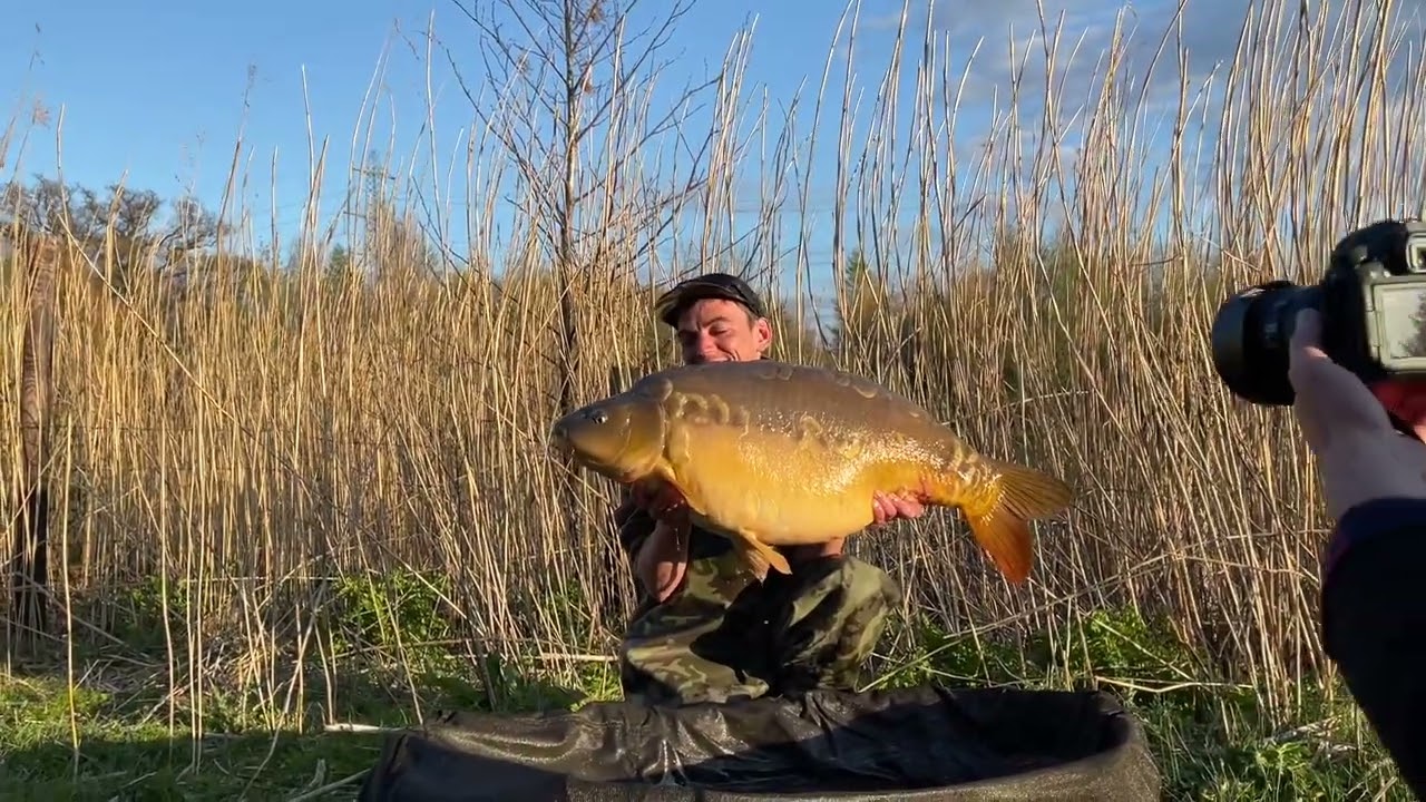 BIG CARP CLOVER 43LB FROM FURZEBRAY CARP LAKES. CAUGHT USING REMIX BAITS 'SECRET' WAFTERS.