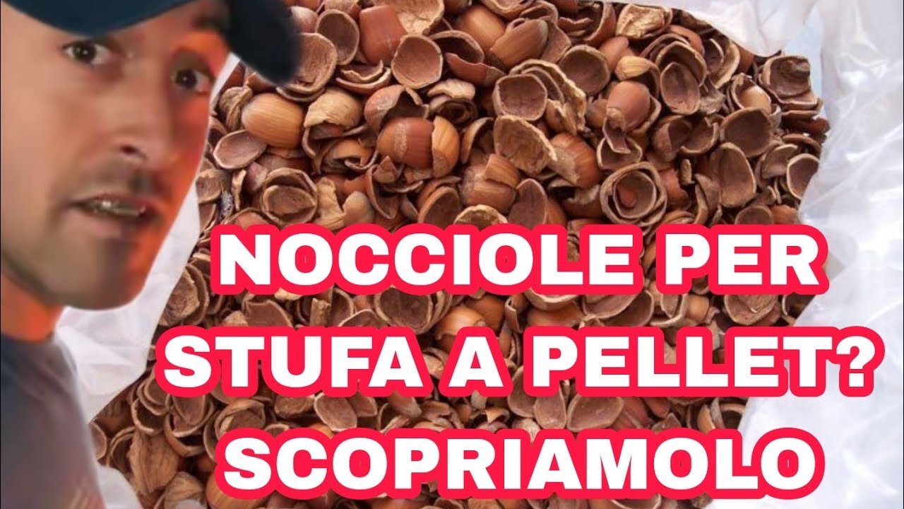 Gusci di Nocciole al posto del Pellet? test e valutazione