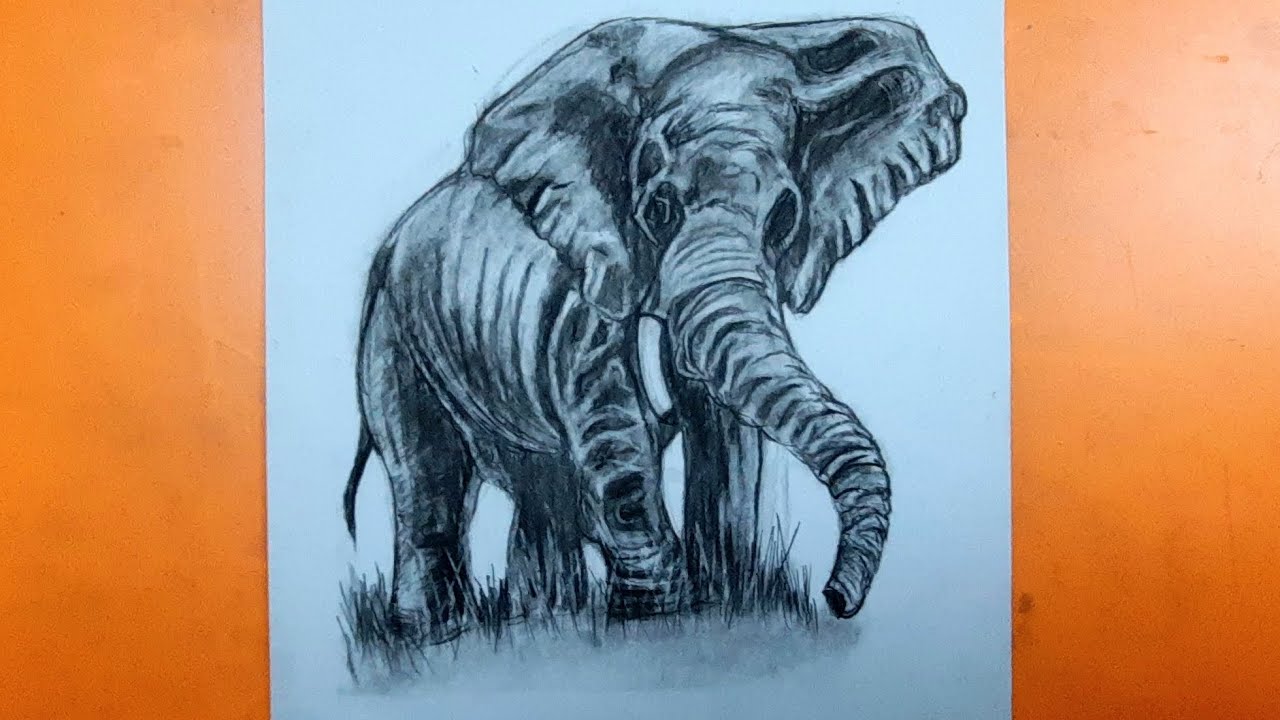 Learn how to draw हाथी elephant with charcoal pencil #trending #charcoaldrawing #drawingideas 