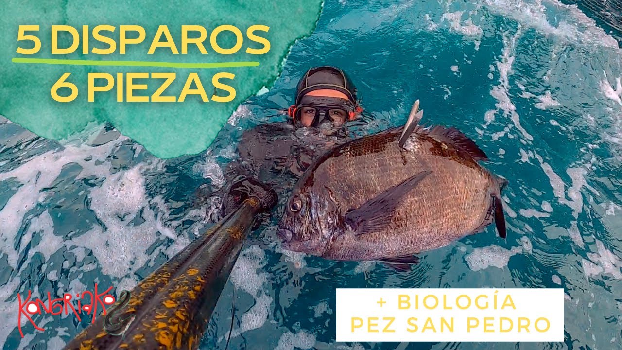 ✅PESCA SUBMARINA🎯6 PIEZAS 5 DISPAROS  + [PEZ SAN PEDRO]