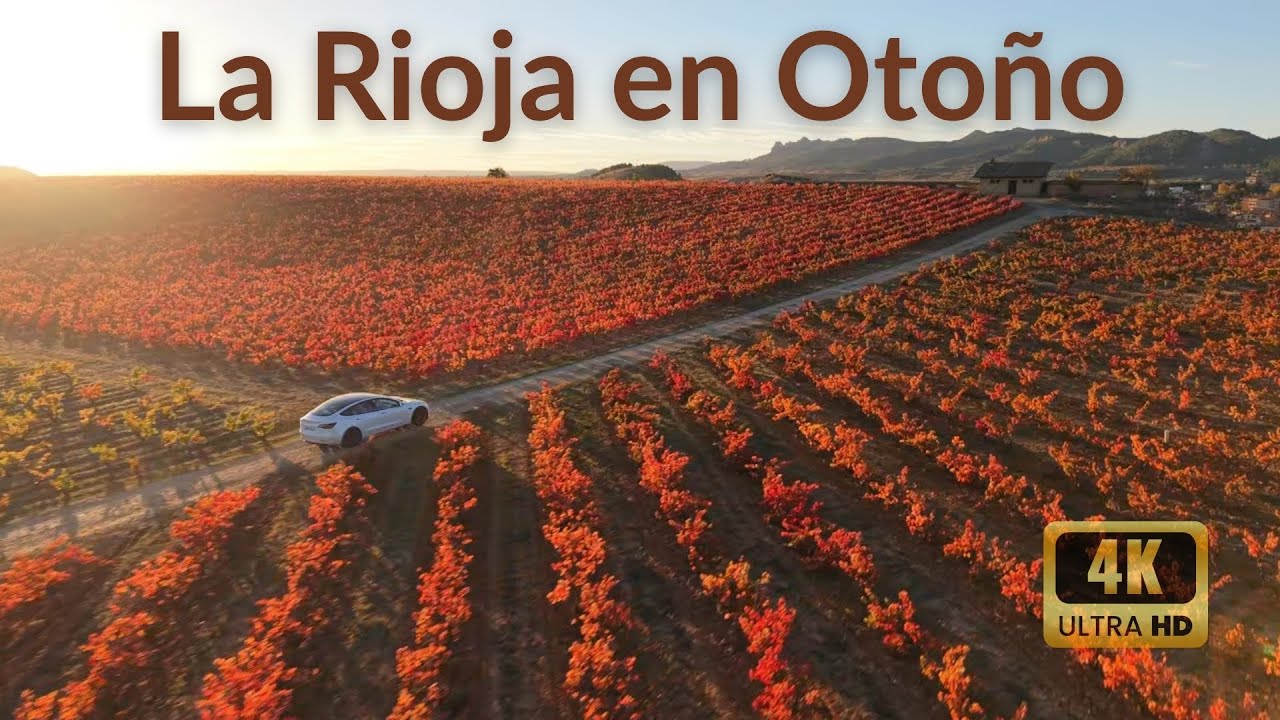 LA RIOJA en oto&ntilde;o  | Los vi&ntilde;edos m&aacute;s bonitos del mundo desde el aire