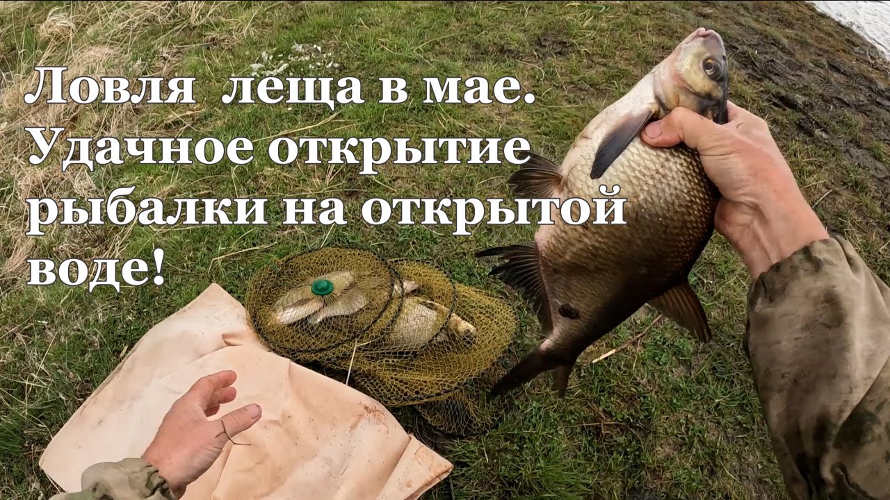 Ловля леща в мае.Удачное открытие рыбалки на открытой воде!