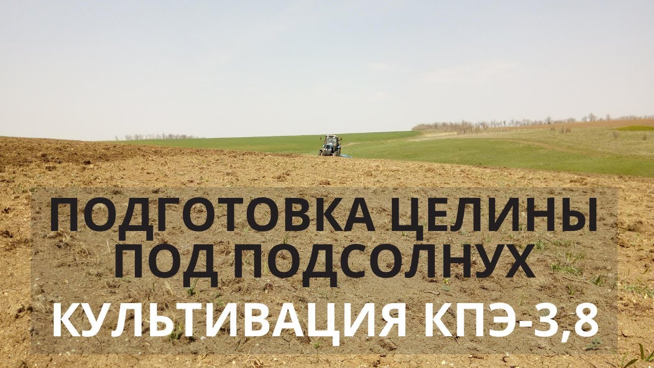 Подготовка целины под подсолнух. Культивация КПЭ-3,8