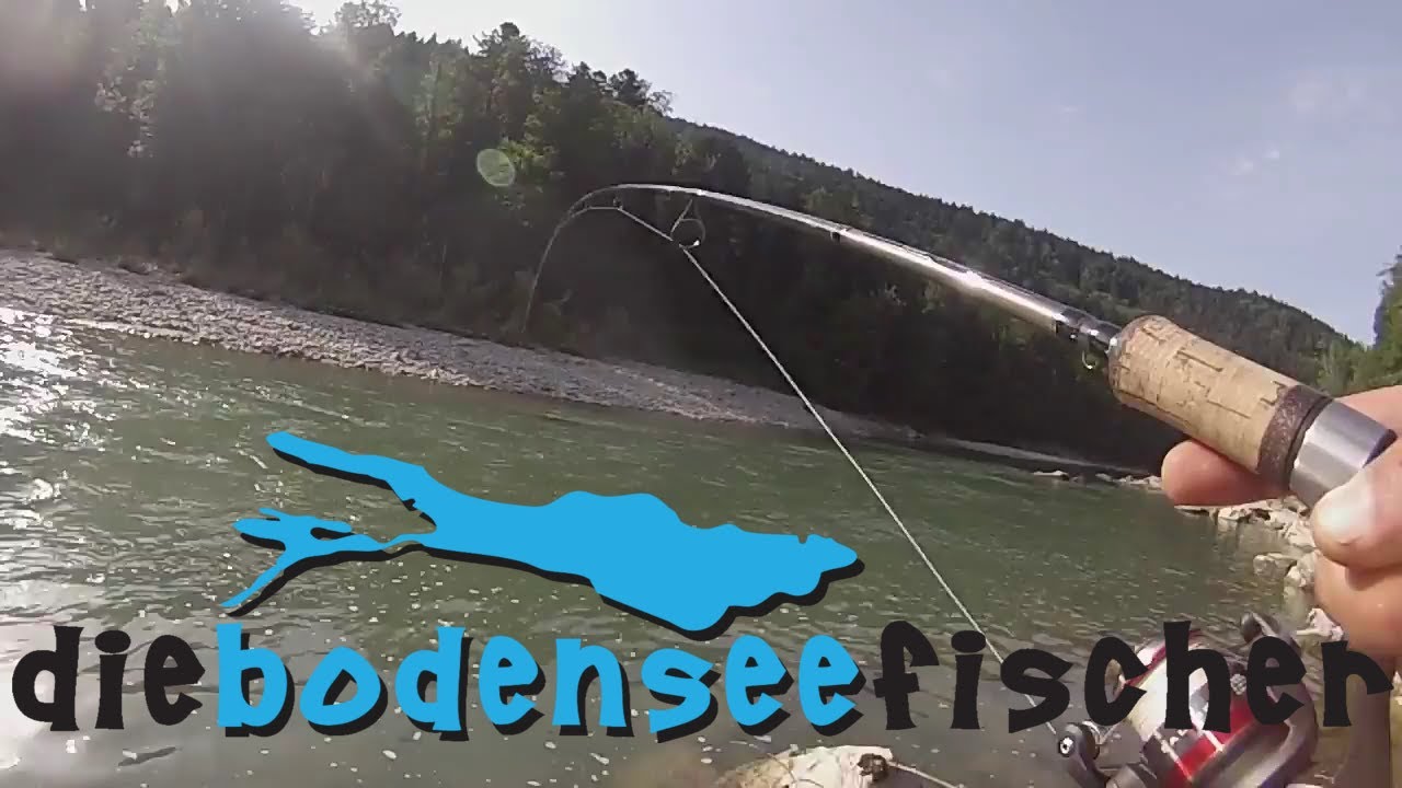 www.DieBodenseefischer.at: Spinnfischen auf Forellen an der Bregenzerach