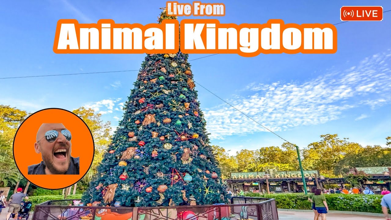 🔴 LIVE at Animal Kingdom Christmas 2025 - Safari Animals & Expedition Everest!
