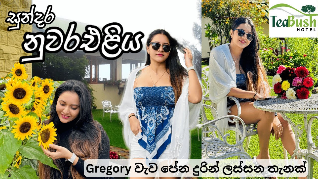 Tea Bush Hotel - Haddon Hill🏨 🍃| සුන්දර නුවරඑළිය 🥶💐| NE25 2 | Vlog 045 #hotelreview  #nuwaraeliya