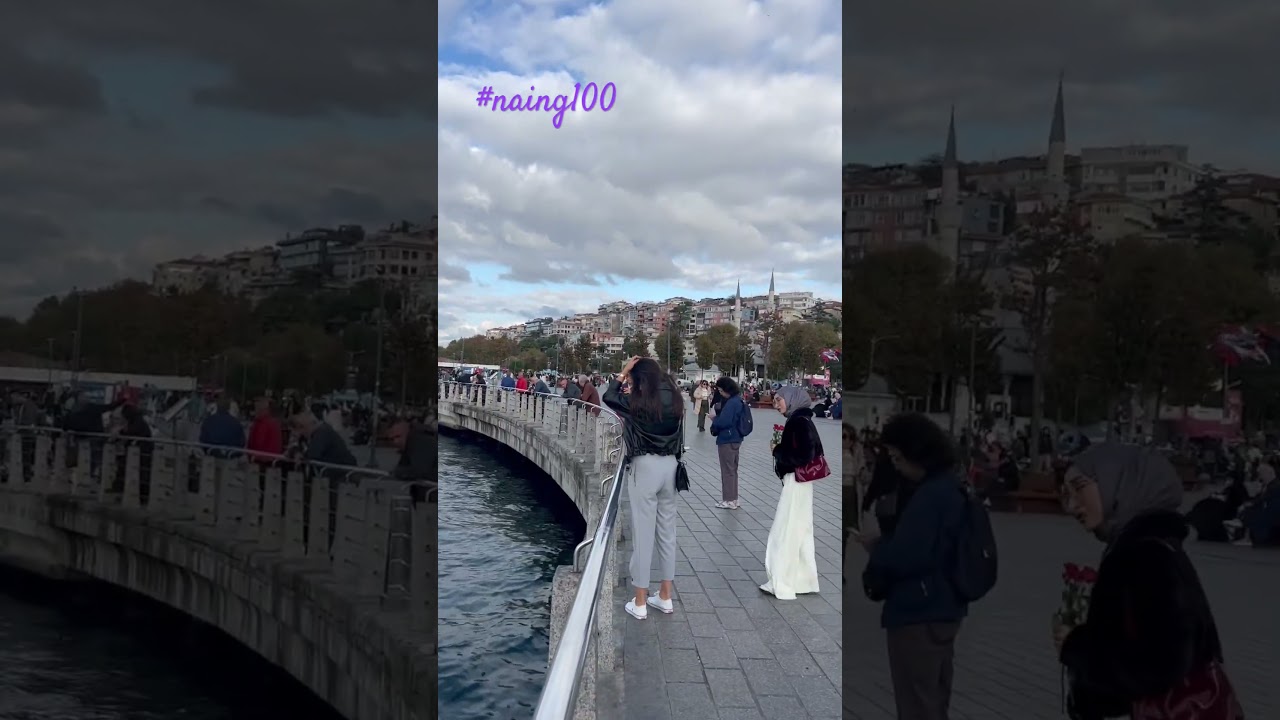 Jellyfish in Bosporus important waterway between Black Sea & Marmara Sea for Mediterranean #naing100