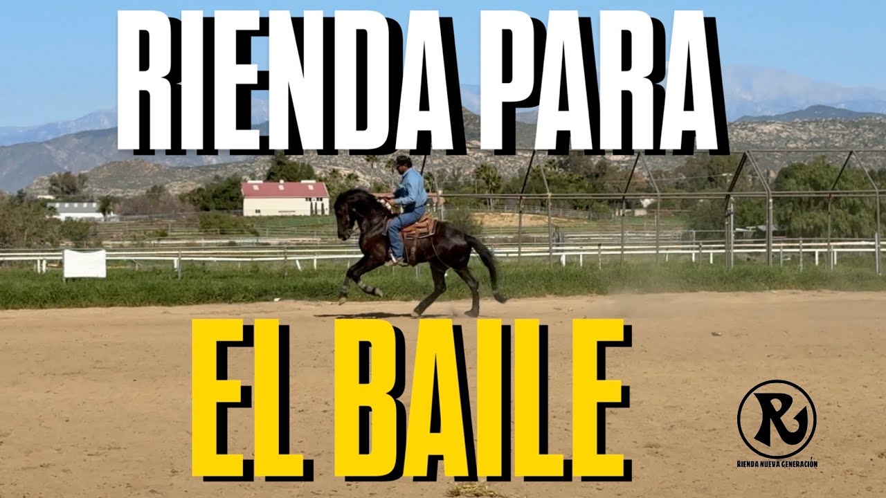 Cómo Trabajar La Rienda Para Un Caballo De Baile