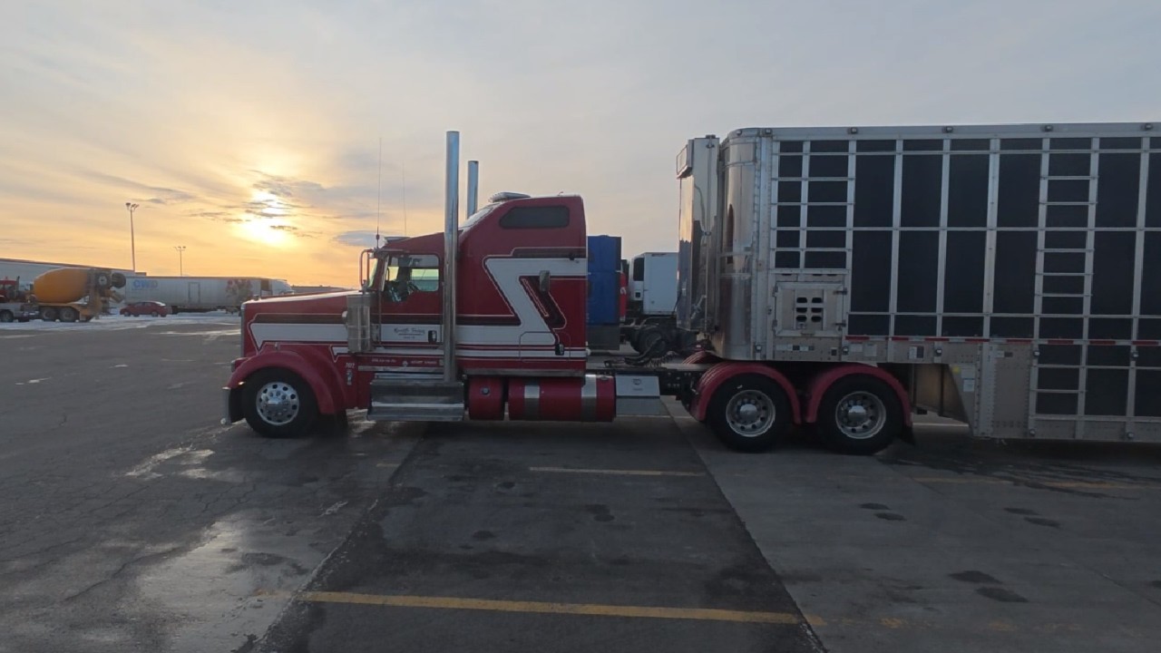 #173. Ч-2. Влог Далекобійника 