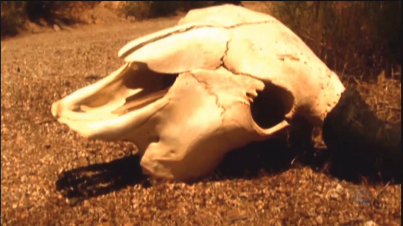 GUN (Intro)