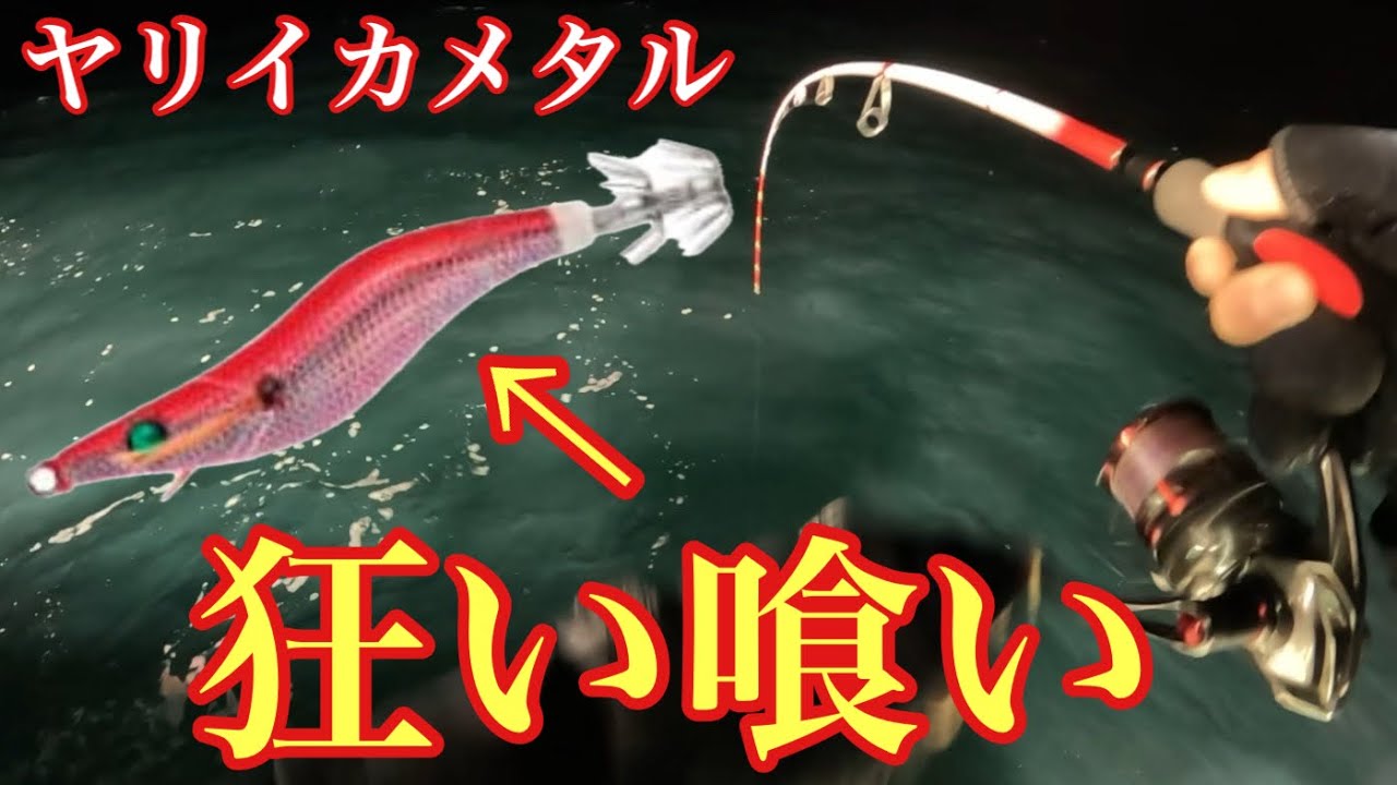ヤリイカが狂ったように喰いにくるスッテを見つけてしまいました！【ヤリイカメタル】