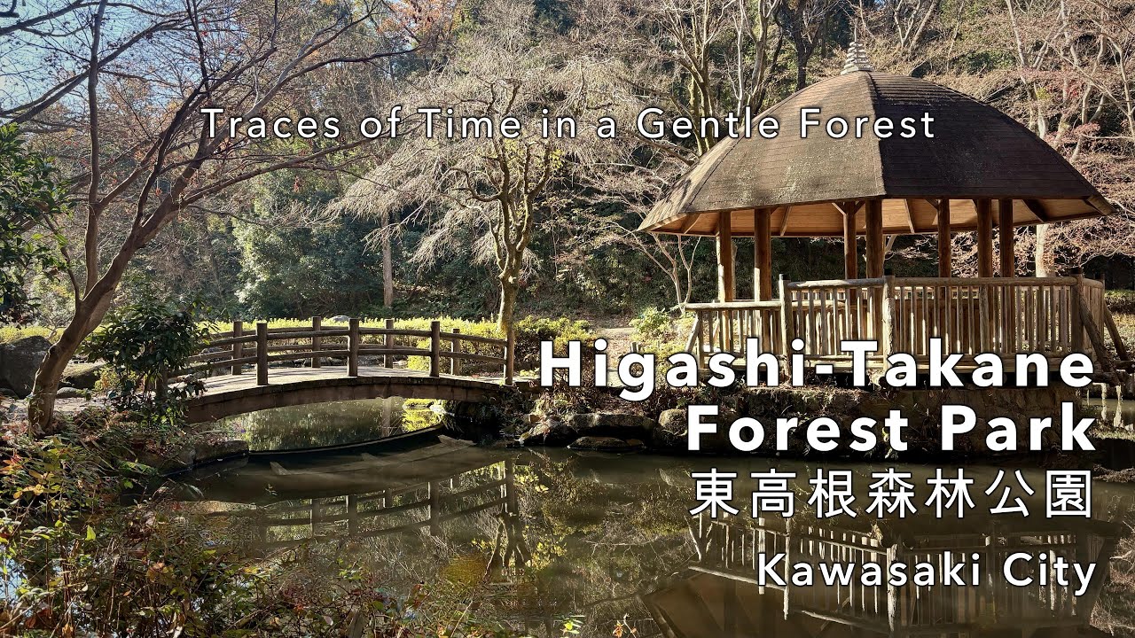 A Gentle Walk Through the Traces of Time – Higashi-Takane Forest Park | 県立東高根森林公園 | Kawasaki (4K)