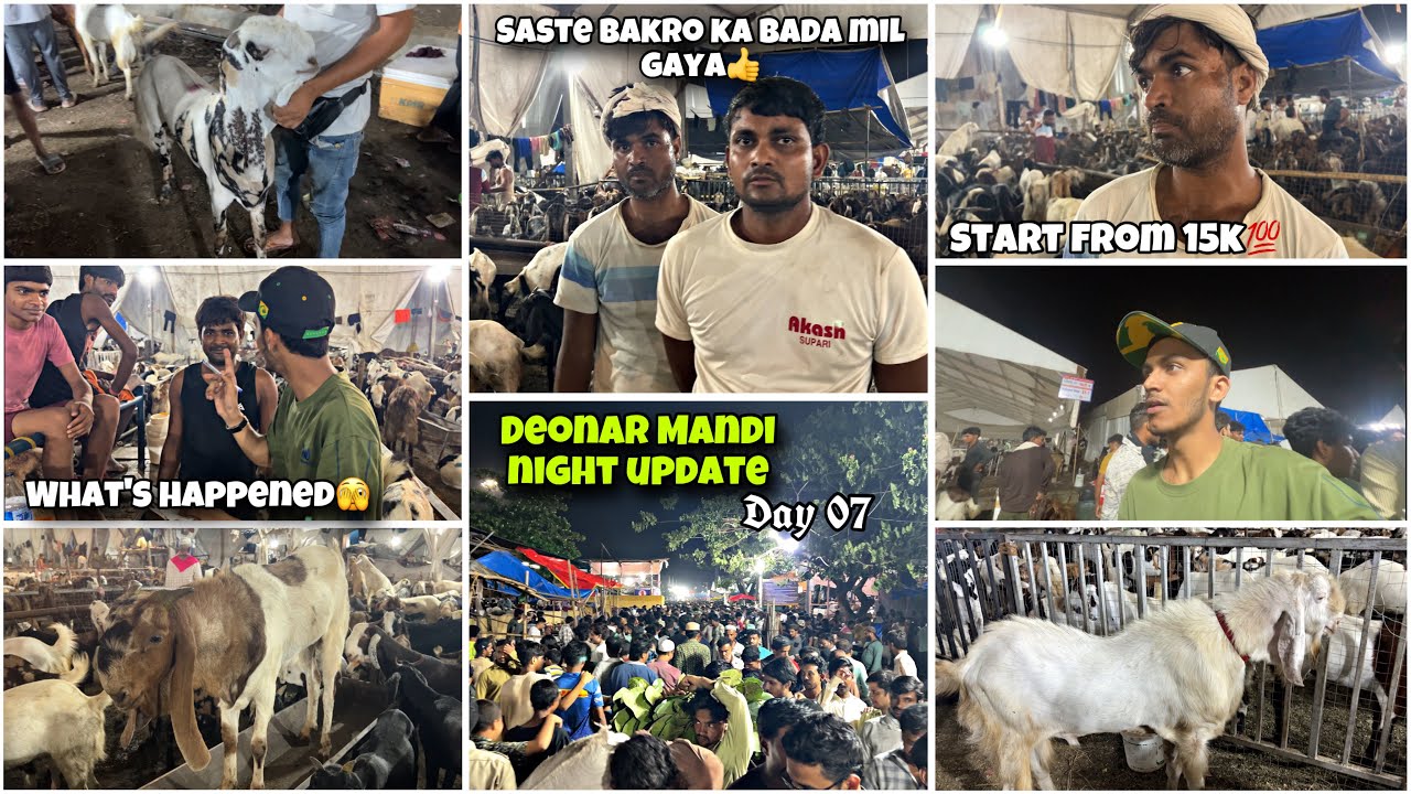 DEONAR BAKRA MANDI 2025 DAY 07 SUNDAY NIGHT FULL UPDATE || SASTE BAKRO KA BAADA MIL GAYA #deonar