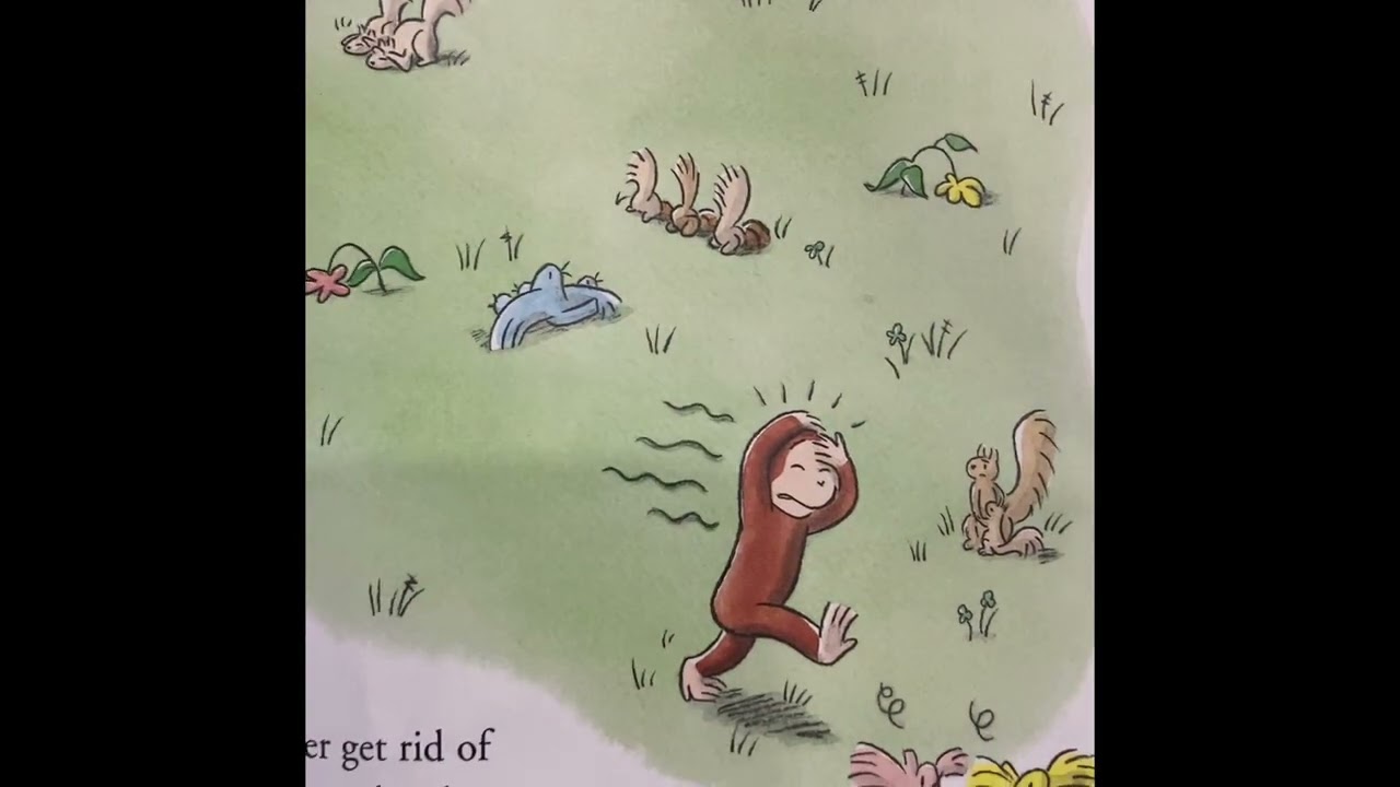 Curious George Goes Camping / Curious George books