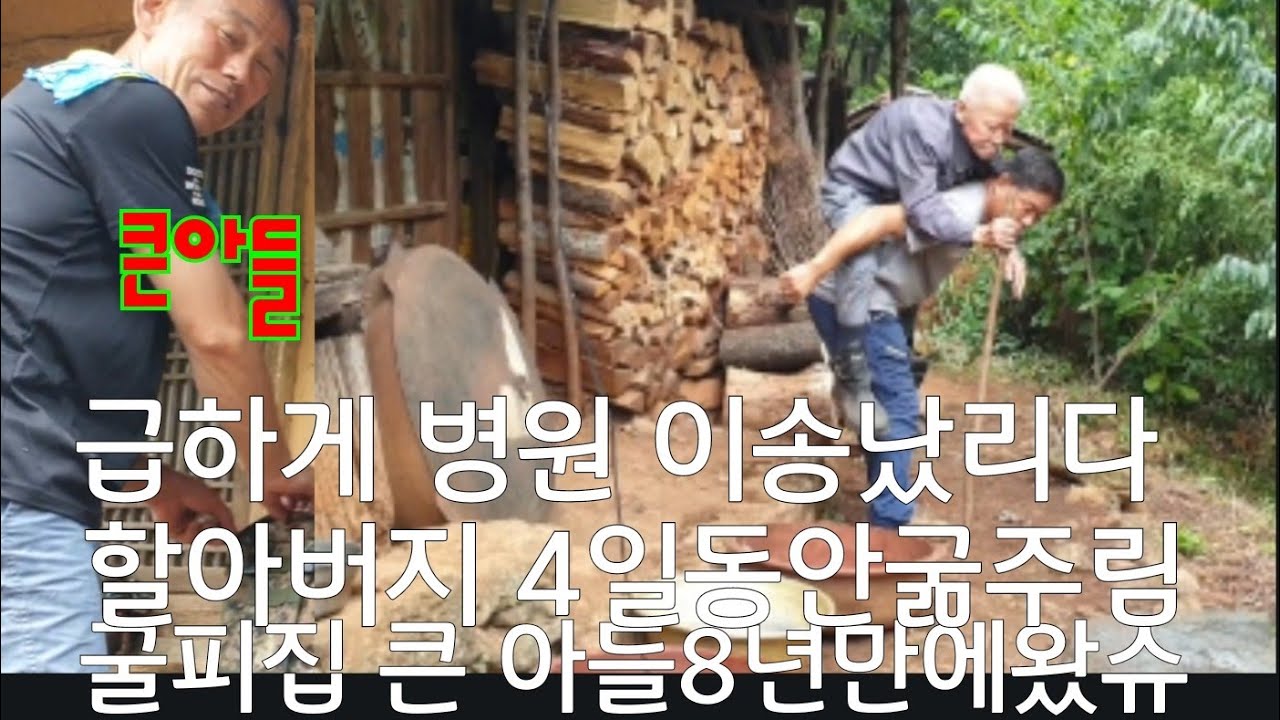    소식도없는 큰 아들이 8년만에 갑자기 찾아왔다 굴피집 어르신  약수터 물이전여없어서 4일 동안 굶주림 큰 아들이 시내로 모시고 가유