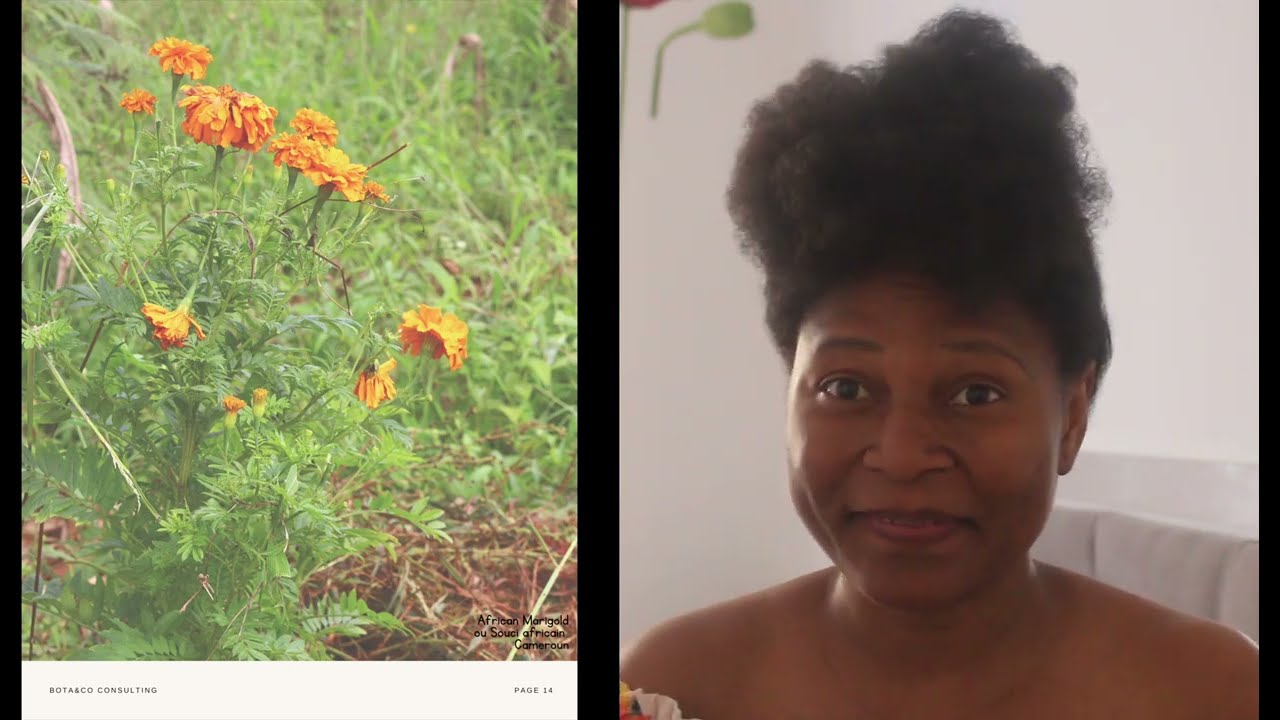 African Herbal Beauty Program, qu'est ce que c'est?