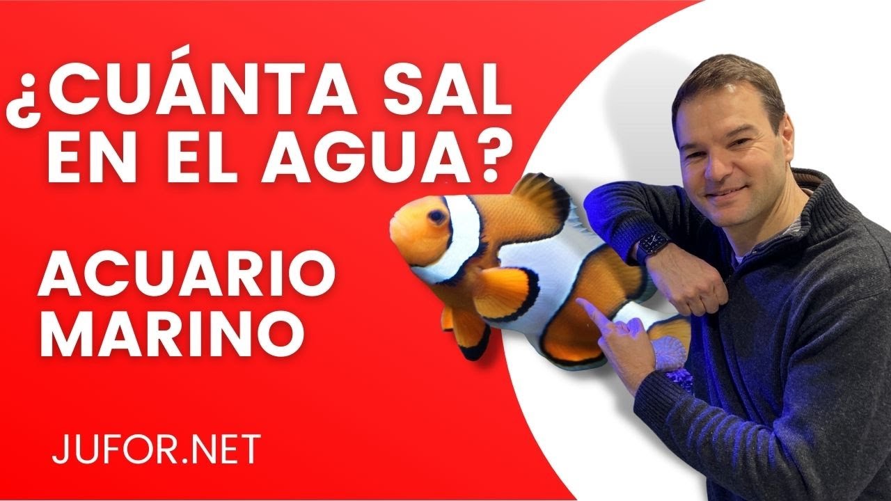 Cómo medir la salinidad de mi acuario marino 🐠