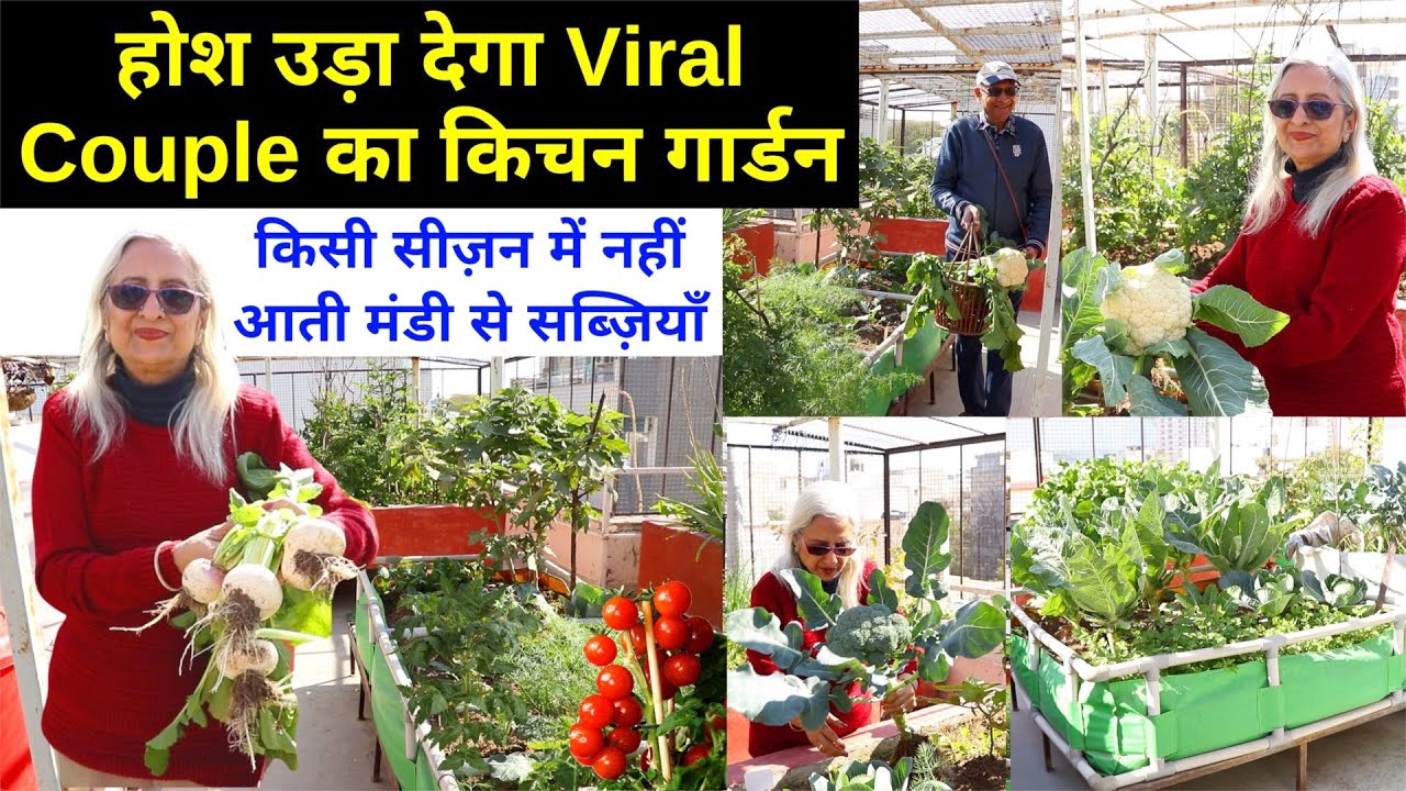 Organic Kitchen Garden में खेत बराबर सब्ज़ियाँ 🥦🥒 No Chemical, Only Kitchen Waste
