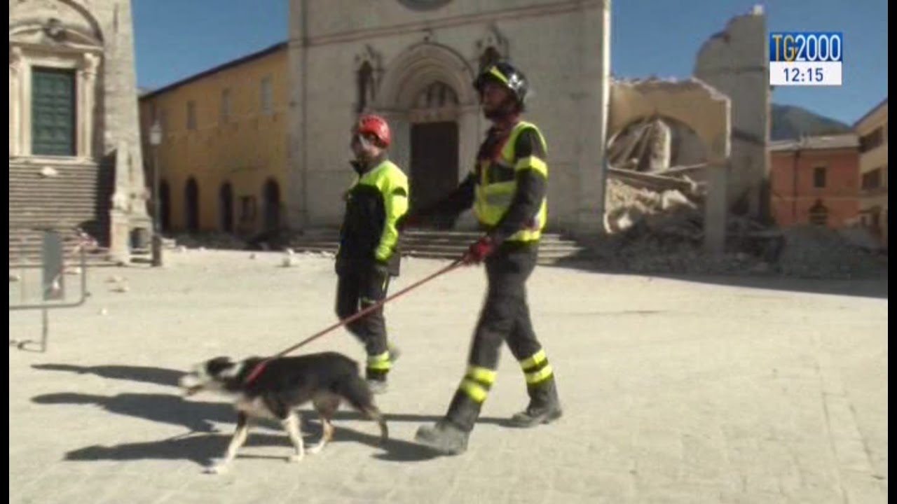 Terremoto, nella zona rossa di Norcia, tra distruzione e desolazione