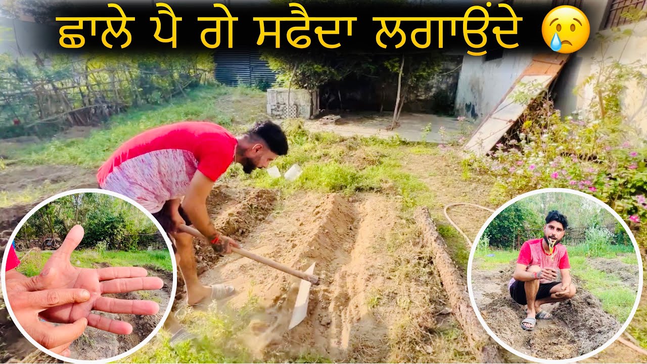 Shaale ਪੈ ਗਏ ਸਫੈਦਾ ਲਗਾਉਂਦੇ ਦੇ 😢 Safeda plantation 🎋 Jass maan vlogs