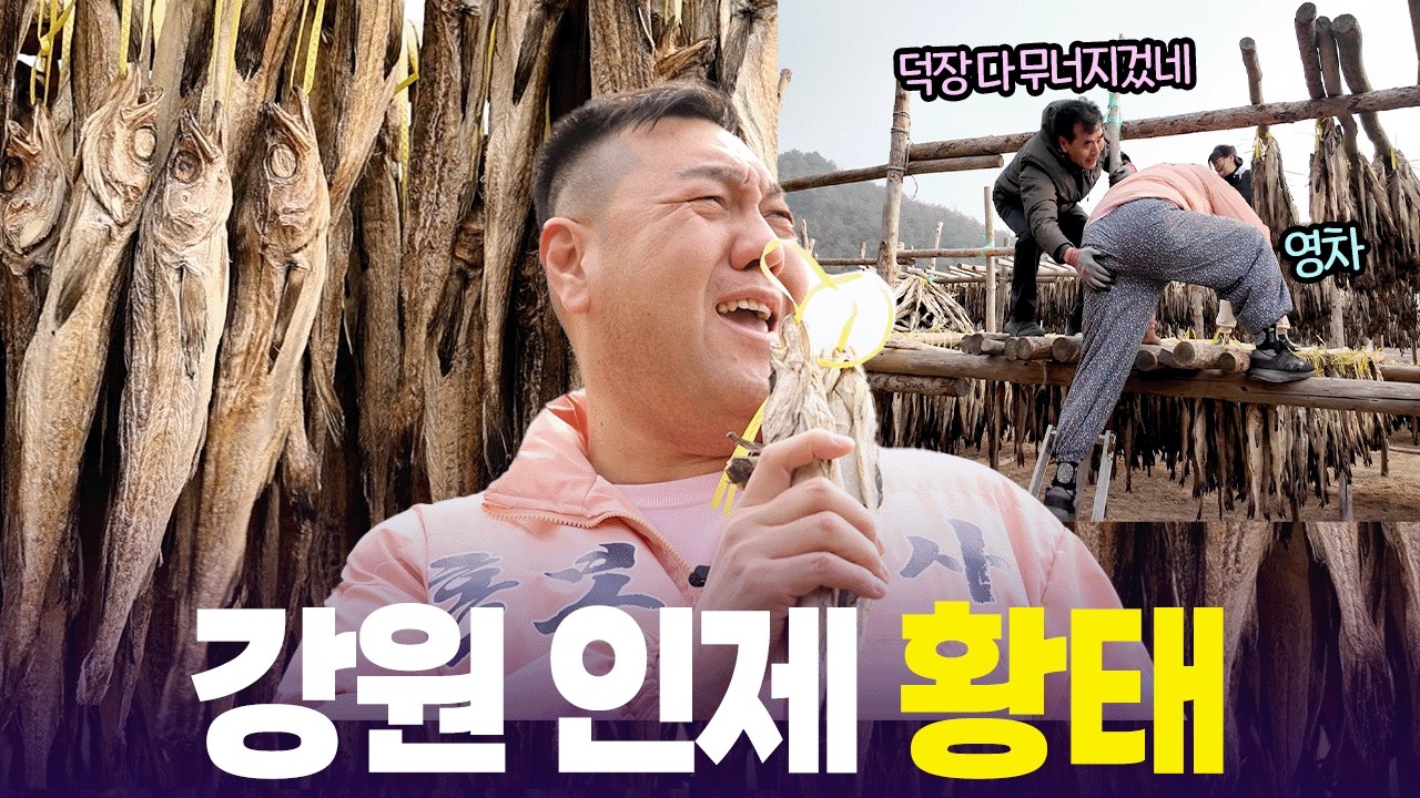 풍성한 명절, 고향의 맛! 😊 인제 황태, 손두부 [6시 내고향] | KBS 260217 방송