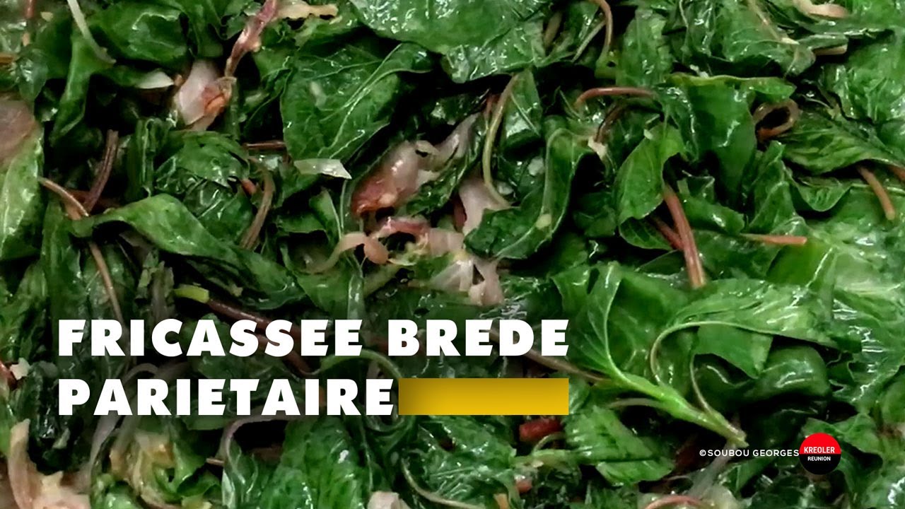 Fricassée de brèdes pariétaires : santé et gourmandise.