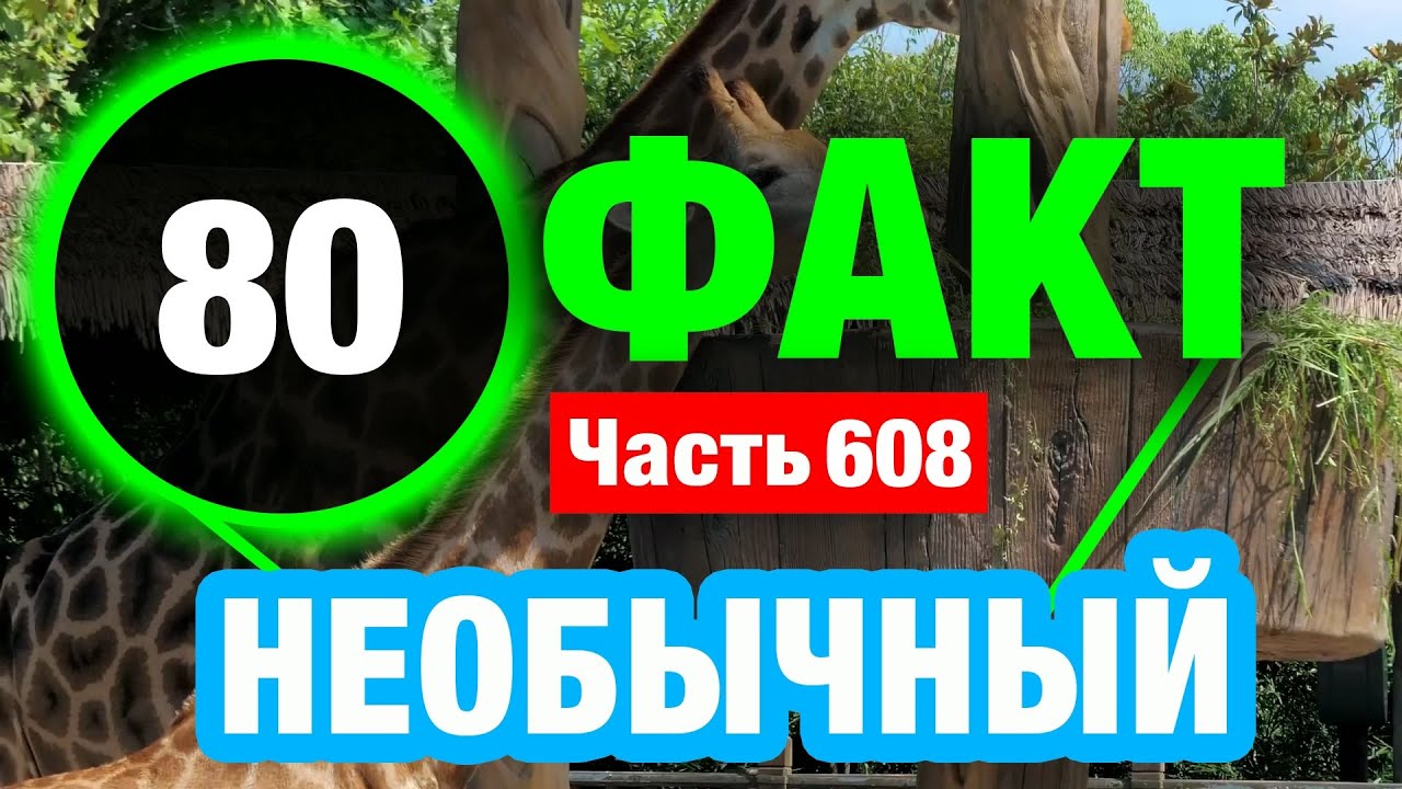 80 Уникальный Факт О Котором Вы Не Знали