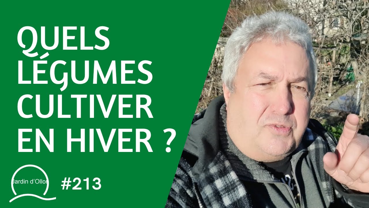 #213-Quels légumes cultiver en hiver ?