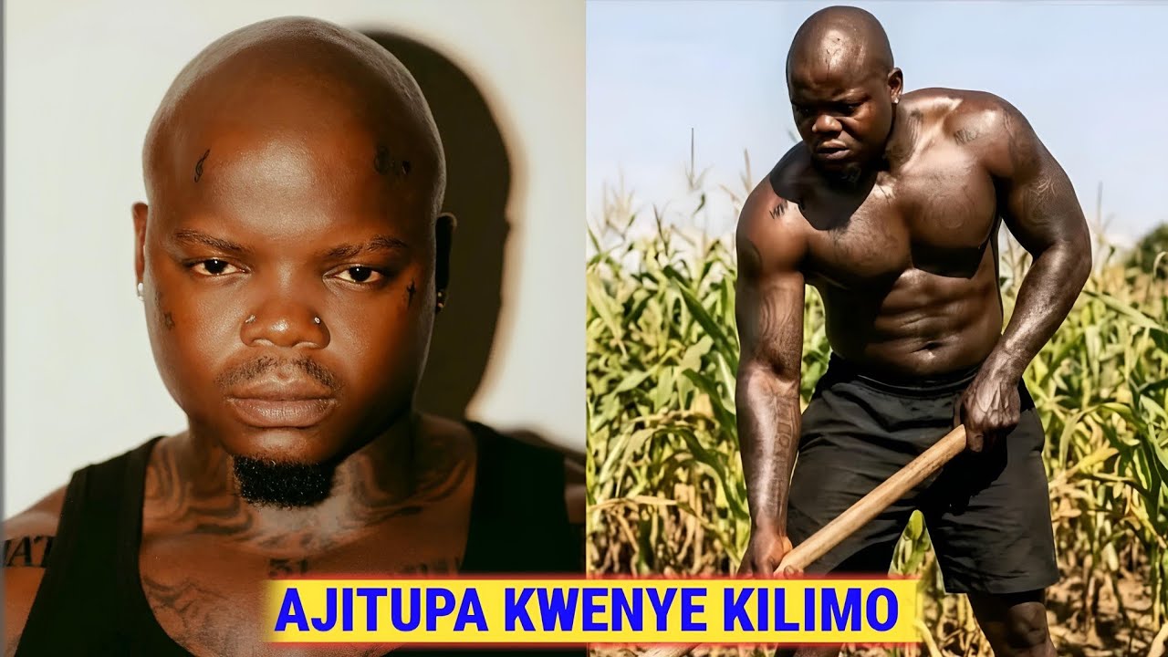 Harmonize Maisha Magumu, Aingia Shambani Kulima, Je, mziki Umemshinda? 