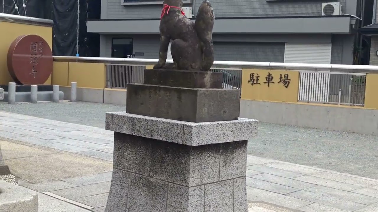 Japonya'da Meslek Yüksekokulu