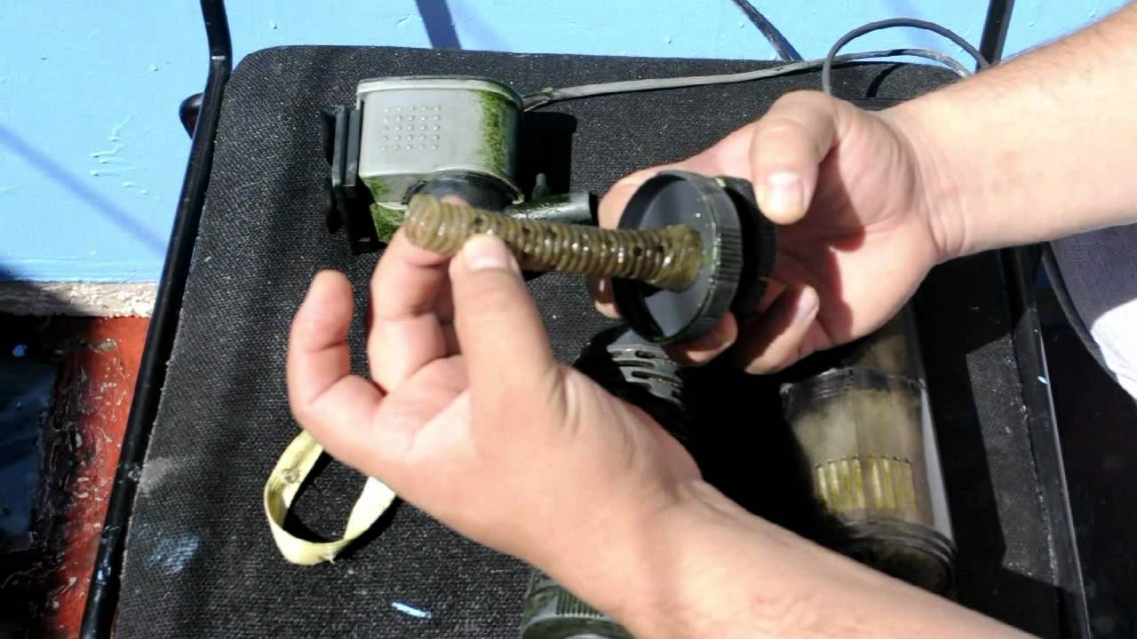 Cabezas de poder y estanque de Tortugas (Limpieza)