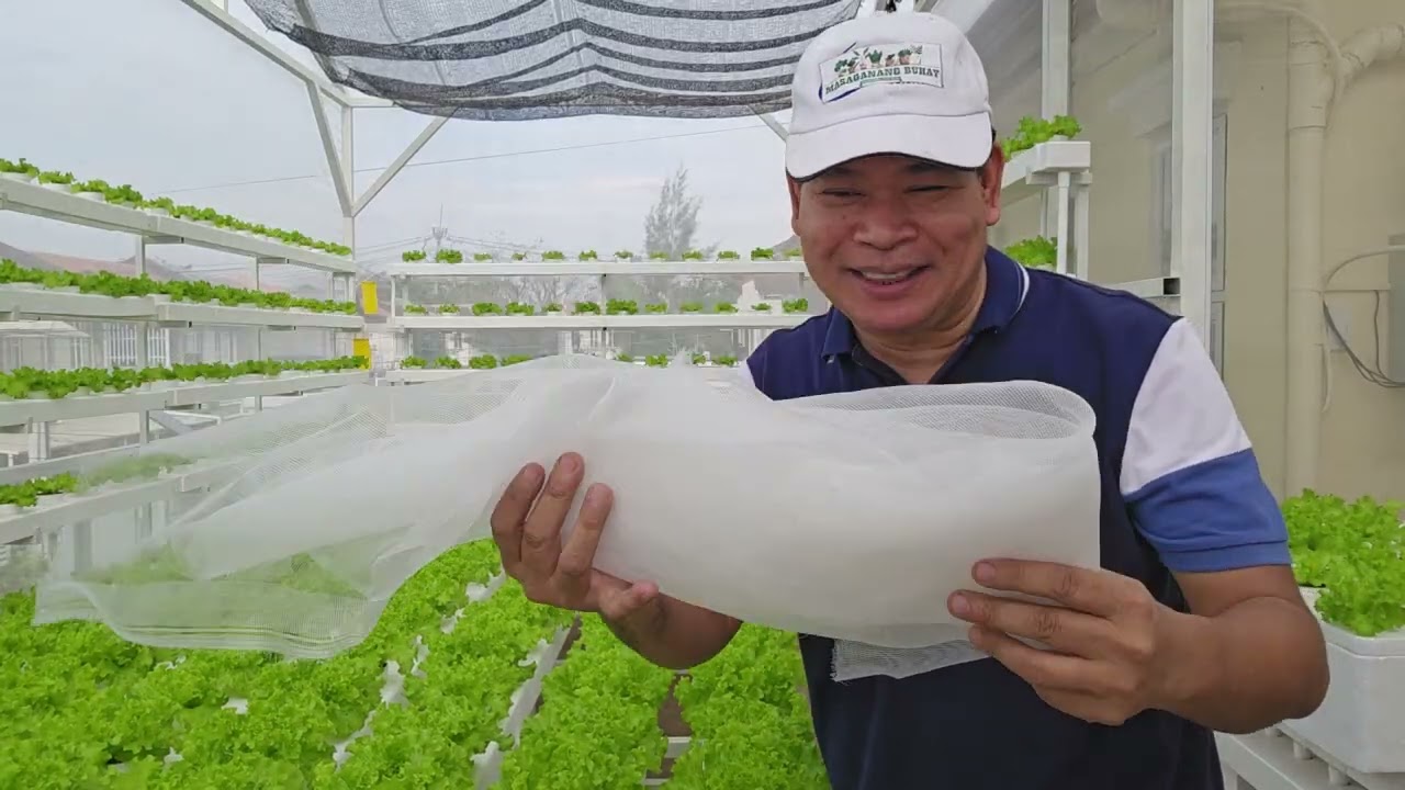PINONG LAMBAT: Mahalagang gamit sa greenhouse