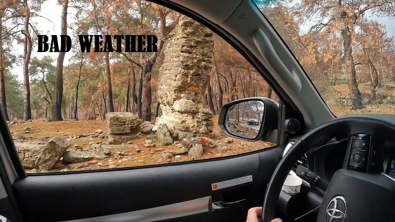 Youtube Donkeys BAD WEATHER