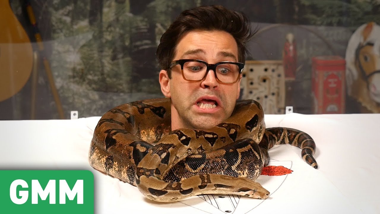 Trapped in a Snake Tank Pt. 2: 6ft Boa Constrictor