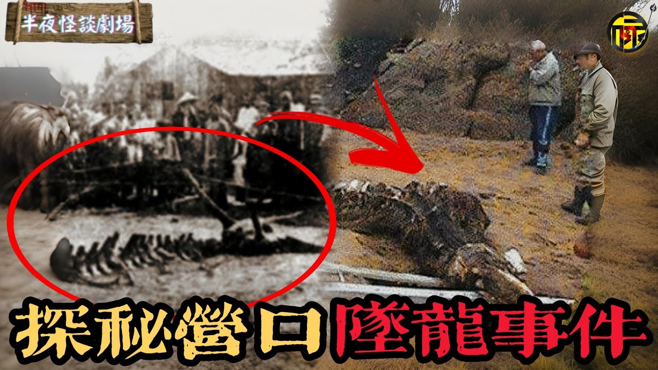 1934年發生在遼寧營口的墜龍事件，千人圍觀過巨龍，真相到底是什麼    | 半夜怪談劇場      #都市傳說 #粵語廣播 #詭異故事