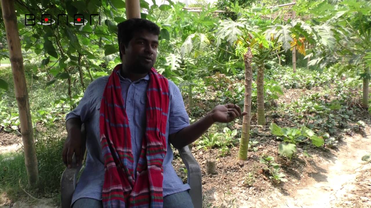 প্রাকৃতিক কৃষি - দ্বিতীয় পর্ব