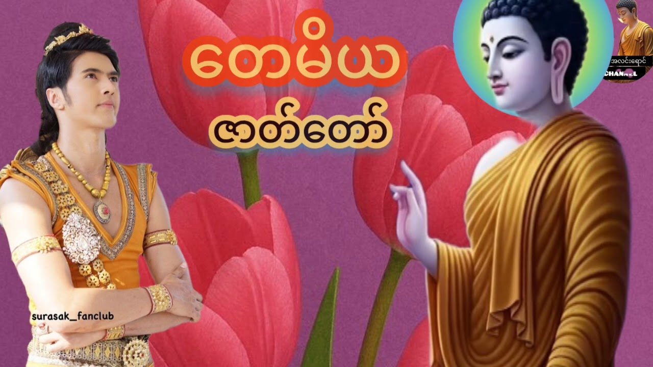 သစ္စာရွှေစည် ဆရာတော်#ရှင်ဥတ္တမ၏ တရားတော်များ နာကြားပူဇော် ဘယဘေးအပေါင်း ကင်းစင်လွွင့်ပျောက်ကြပါစေ###