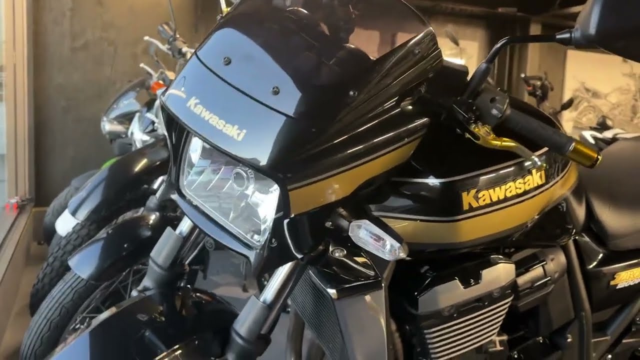 ZRX1200DAEGは何故価格高騰しているのか