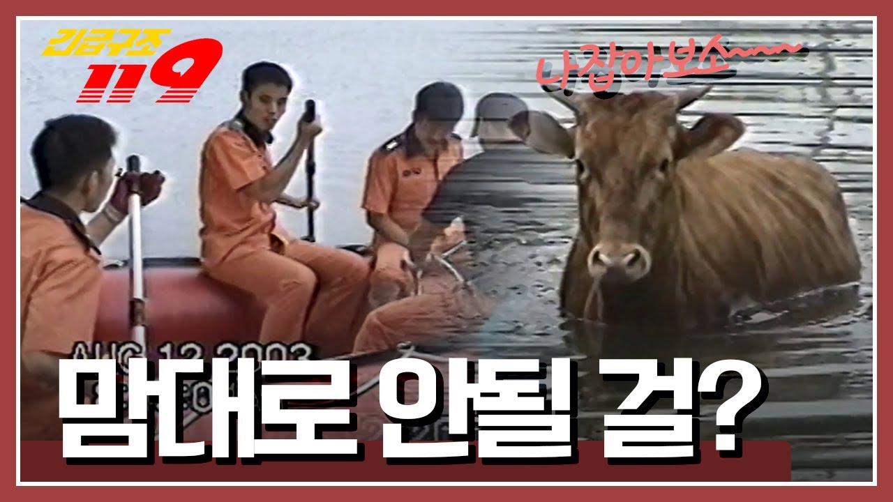 [긴급구조 119] 