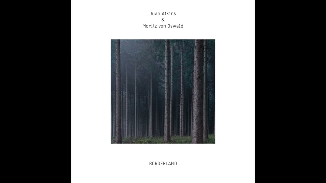 Juan Atkins & Moritz von Oswald - Digital Forest