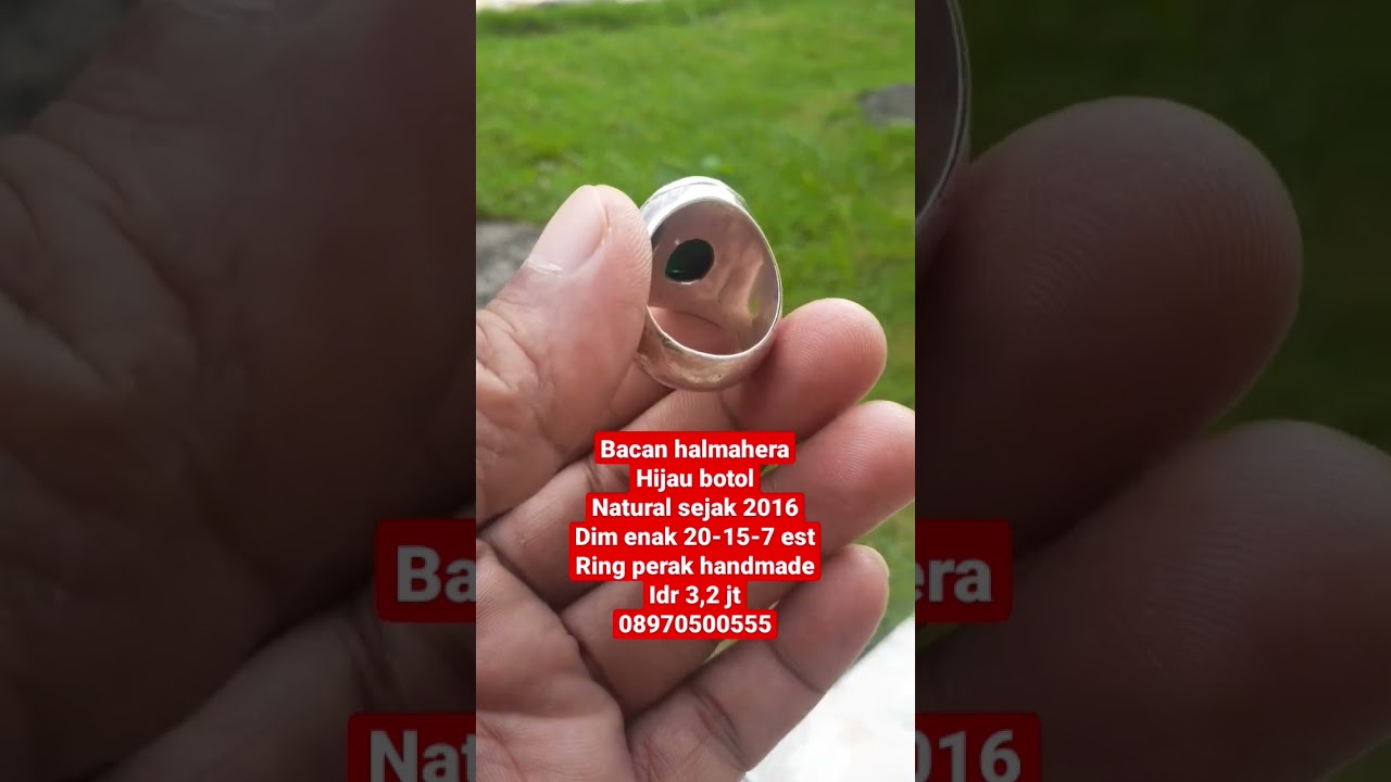 bacan halmahera hijau botol #bacan #bacanhalmahera #bacanhijau #chrysocolla #bumn #bacanhijaubotol
