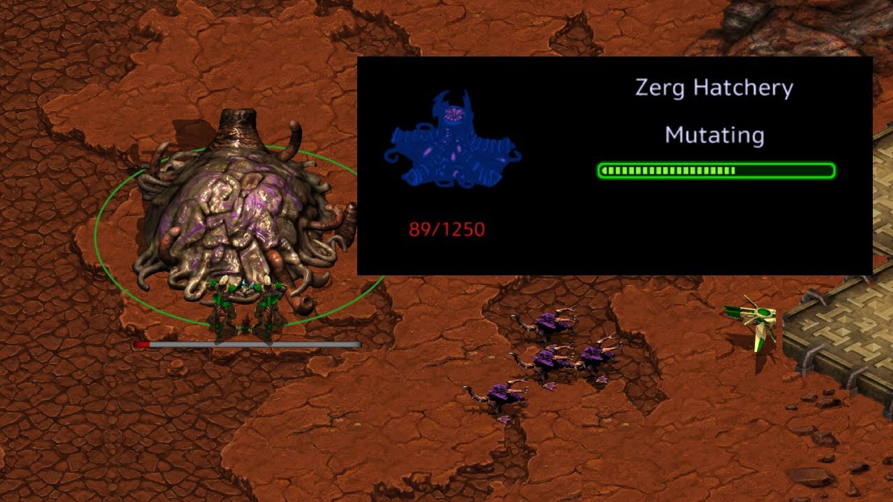 THE STUNNING CONCLUSION! - Rain vs ZeLoT